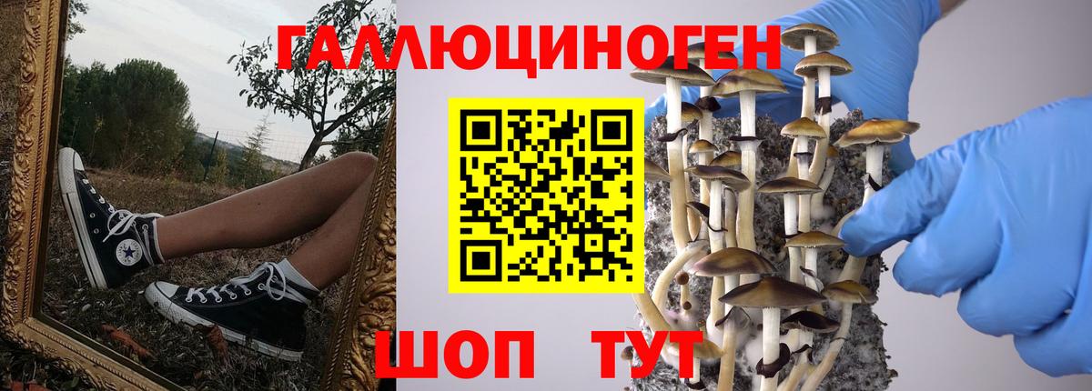 Алатырь  закладки  Вход с VPN  Псилоцибиновые грибы Psilocybine cubensis  Псилоцибиновые грибы прущие грибы 
